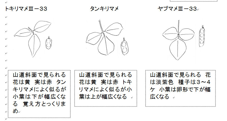 f:id:chuumeikun:20160806043125j:plain