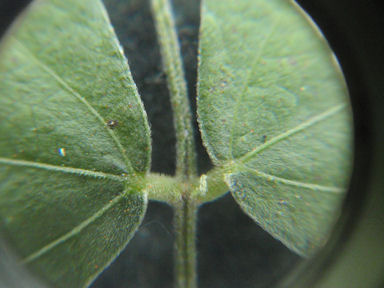 f:id:chuumeikun:20160806043400j:plain