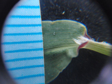 f:id:chuumeikun:20160810051622j:plain f:id:chuumeikun:20160810051622j:plain