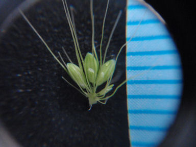 f:id:chuumeikun:20160810051702j:plain f:id:chuumeikun:20160810051702j:plain