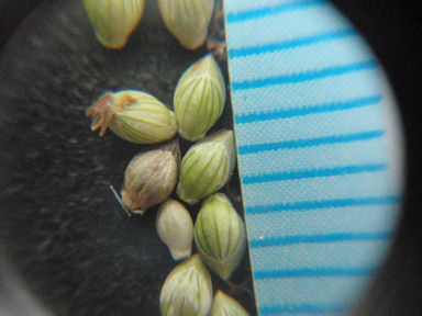 f:id:chuumeikun:20160810051913j:plain f:id:chuumeikun:20160810051913j:plain