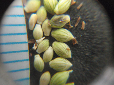 f:id:chuumeikun:20160810052137j:plain f:id:chuumeikun:20160810052137j:plain