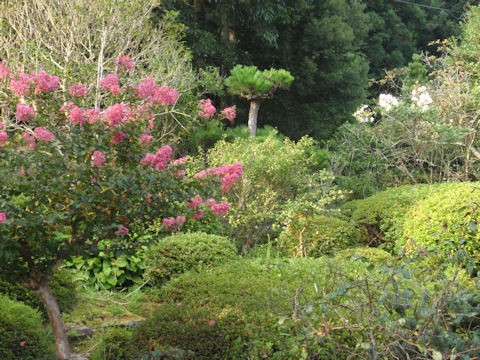 f:id:chuumeikun:20160810052219j:plain f:id:chuumeikun:20160810052219j:plain