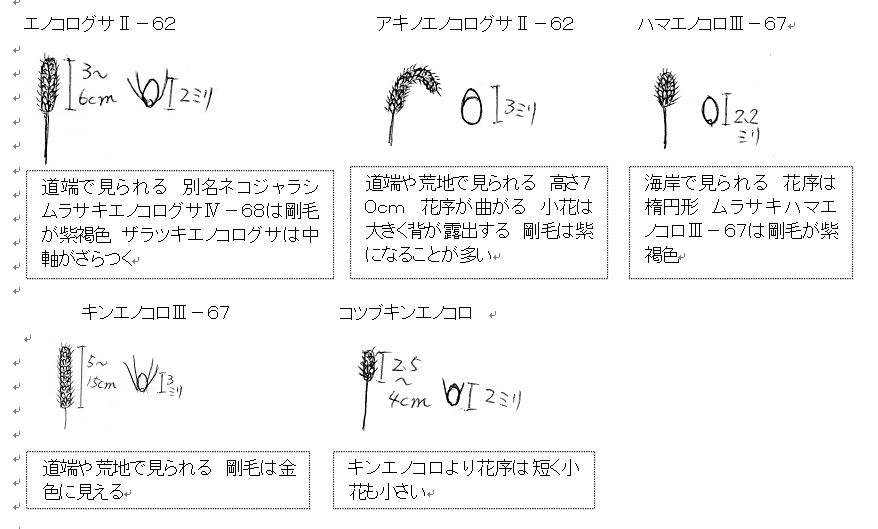 f:id:chuumeikun:20160812054015j:plain f:id:chuumeikun:20160812054015j:plain