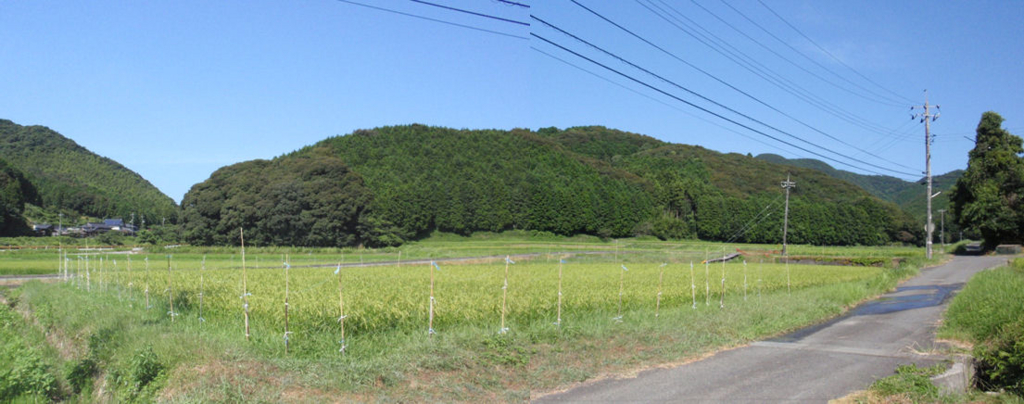 f:id:chuumeikun:20160812054450j:plain f:id:chuumeikun:20160812054450j:plain