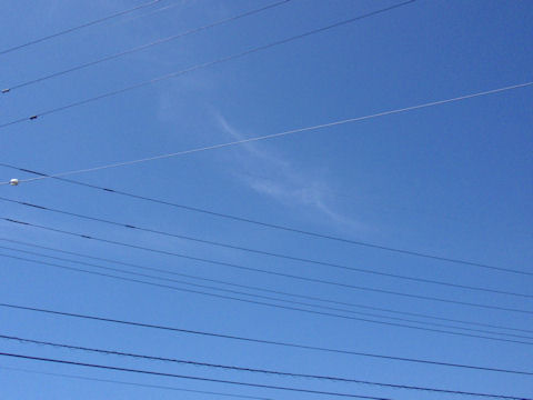 f:id:chuumeikun:20160812054505j:plain f:id:chuumeikun:20160812054505j:plain