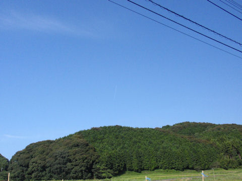 f:id:chuumeikun:20160812054528j:plain f:id:chuumeikun:20160812054528j:plain