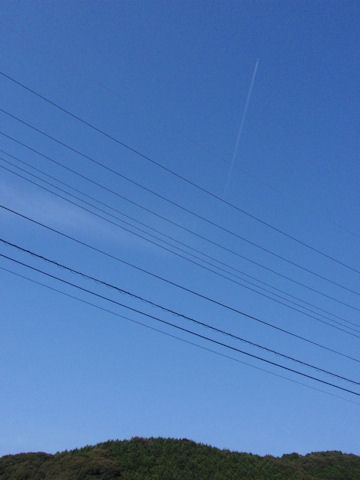 f:id:chuumeikun:20160812054546j:plain f:id:chuumeikun:20160812054546j:plain