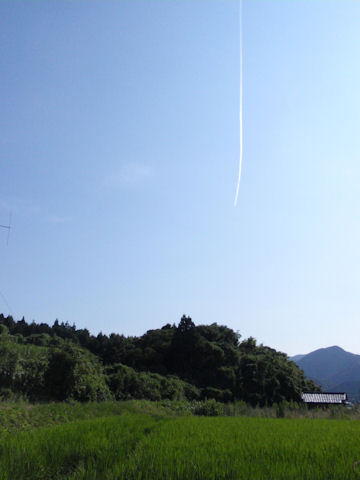 f:id:chuumeikun:20160812054634j:plain f:id:chuumeikun:20160812054634j:plain