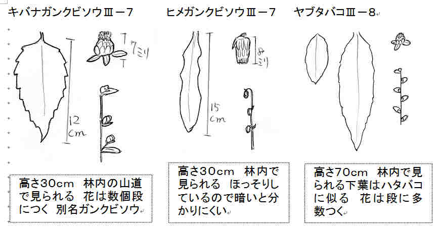 f:id:chuumeikun:20160902021746j:plain f:id:chuumeikun:20160902021746j:plain
