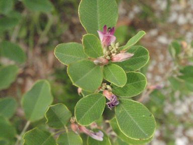 f:id:chuumeikun:20160904032934j:plain