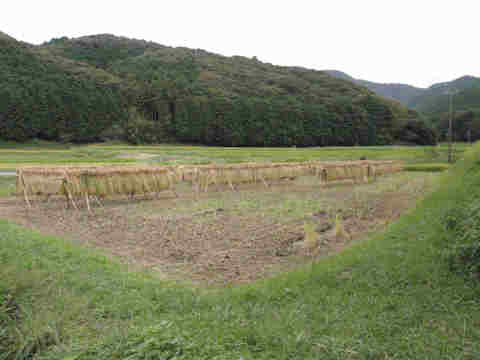 f:id:chuumeikun:20160904034205j:plain