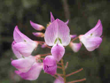 f:id:chuumeikun:20160905032120j:plain