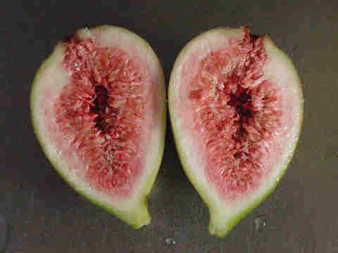 f:id:chuumeikun:20160906012944j:plain f:id:chuumeikun:20160906012944j:plain