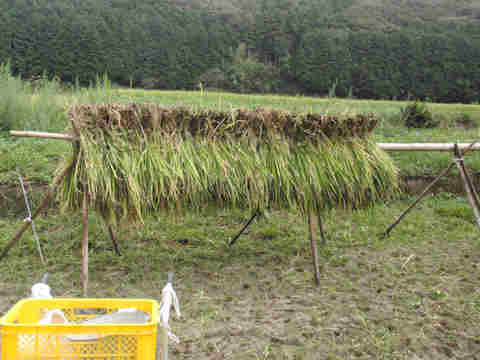 f:id:chuumeikun:20160906013206j:plain f:id:chuumeikun:20160906013206j:plain