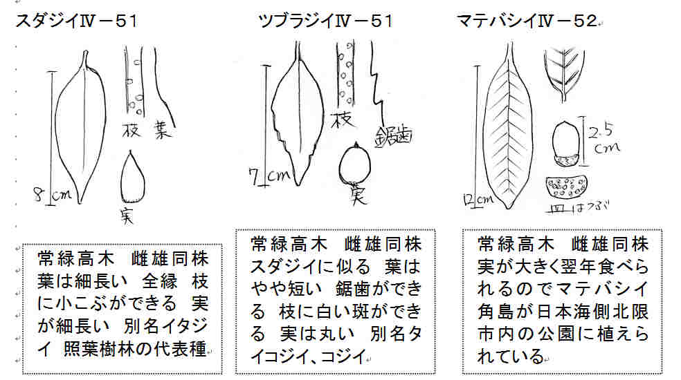 f:id:chuumeikun:20160912021243j:plain