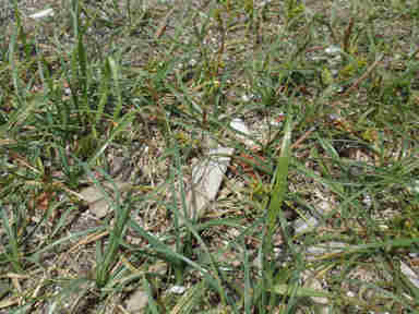 f:id:chuumeikun:20160921103329j:plain f:id:chuumeikun:20160921103329j:plain