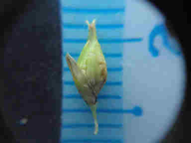 f:id:chuumeikun:20160921103408j:plain f:id:chuumeikun:20160921103408j:plain