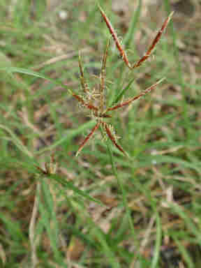 f:id:chuumeikun:20160921103519j:plain f:id:chuumeikun:20160921103519j:plain