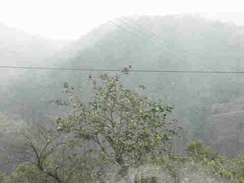 f:id:chuumeikun:20160921103615j:plain f:id:chuumeikun:20160921103615j:plain