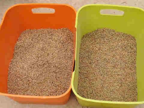 f:id:chuumeikun:20160921103637j:plain f:id:chuumeikun:20160921103637j:plain