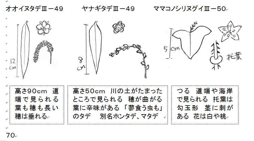 f:id:chuumeikun:20160926015131j:plain