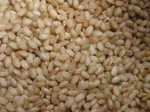 f:id:chuumeikun:20160926015529j:plain