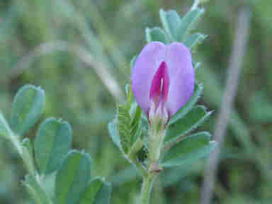 f:id:chuumeikun:20161009025216j:plain