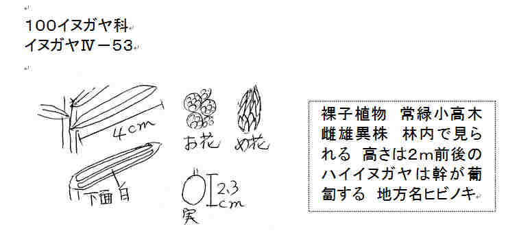 f:id:chuumeikun:20161106021644j:plain f:id:chuumeikun:20161106021644j:plain