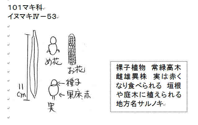 f:id:chuumeikun:20161106021703j:plain f:id:chuumeikun:20161106021703j:plain