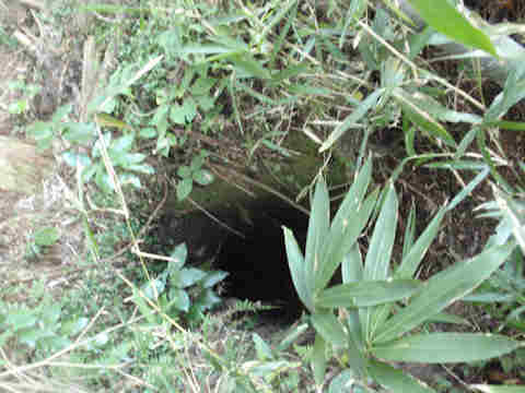 f:id:chuumeikun:20161106022129j:plain f:id:chuumeikun:20161106022129j:plain