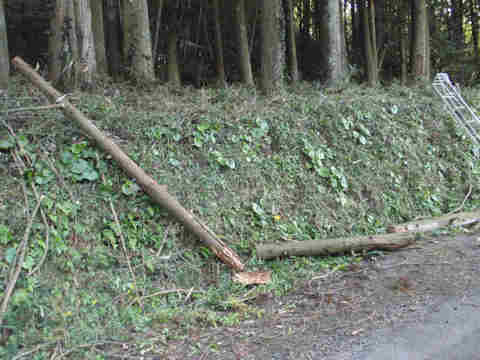 f:id:chuumeikun:20161106022217j:plain f:id:chuumeikun:20161106022217j:plain