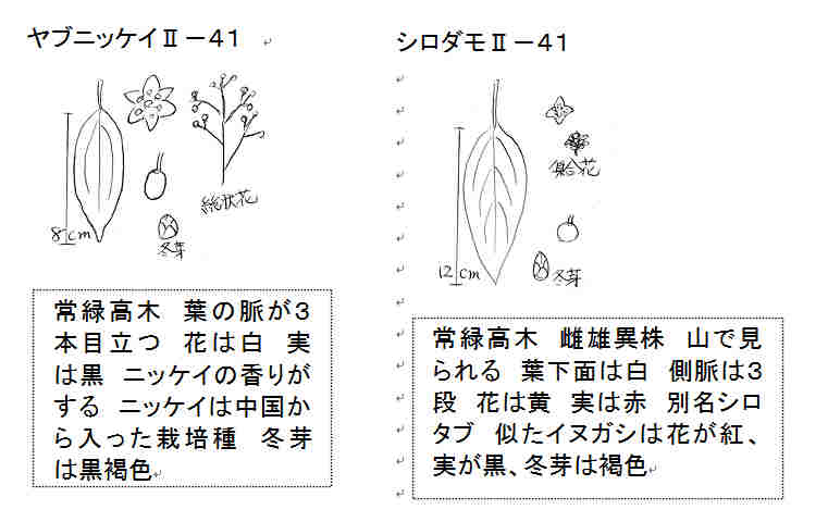 f:id:chuumeikun:20161110053031j:plain