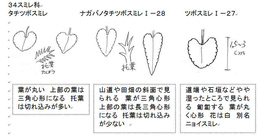 f:id:chuumeikun:20161116011341j:plain f:id:chuumeikun:20161116011341j:plain
