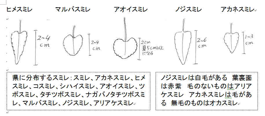 f:id:chuumeikun:20161116011408j:plain f:id:chuumeikun:20161116011408j:plain