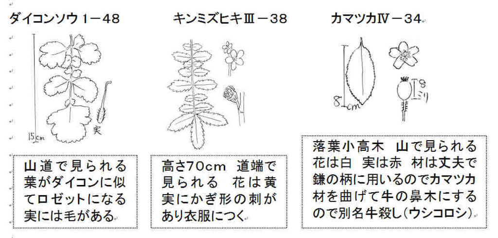 f:id:chuumeikun:20161122081451j:plain f:id:chuumeikun:20161122081451j:plain