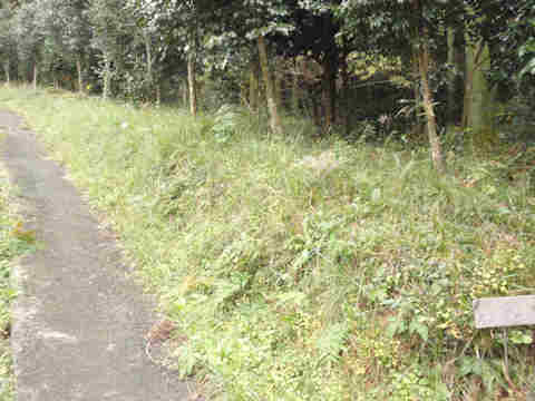 f:id:chuumeikun:20161122082206j:plain f:id:chuumeikun:20161122082206j:plain