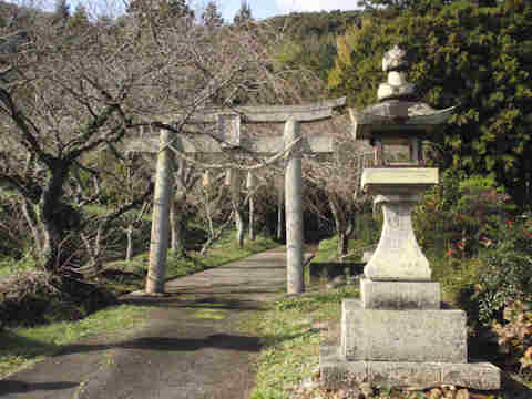 f:id:chuumeikun:20161123094536j:plain f:id:chuumeikun:20161123094536j:plain