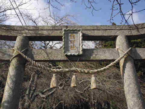 f:id:chuumeikun:20161123094557j:plain f:id:chuumeikun:20161123094557j:plain