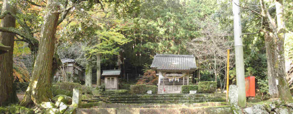 f:id:chuumeikun:20161123094618j:plain f:id:chuumeikun:20161123094618j:plain