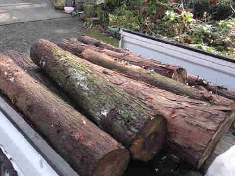 f:id:chuumeikun:20161123095044j:plain f:id:chuumeikun:20161123095044j:plain