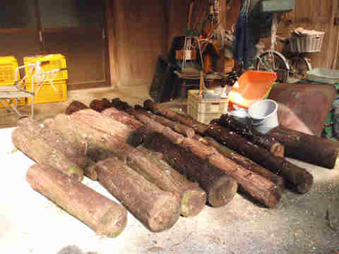 f:id:chuumeikun:20161123095058j:plain f:id:chuumeikun:20161123095058j:plain