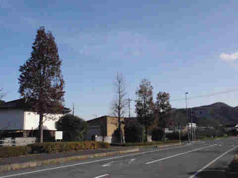 f:id:chuumeikun:20161126185646j:plain