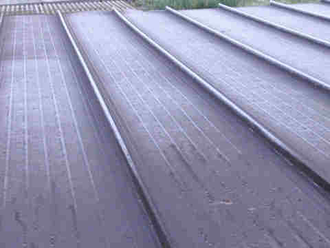 f:id:chuumeikun:20161203202317j:plain