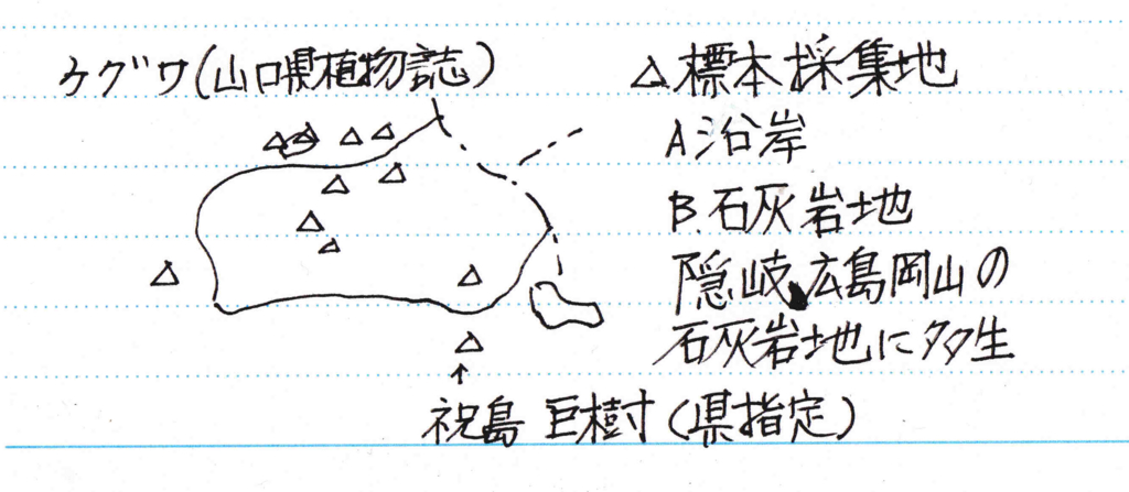 f:id:chuumeikun:20161206062657j:plain f:id:chuumeikun:20161206062657j:plain