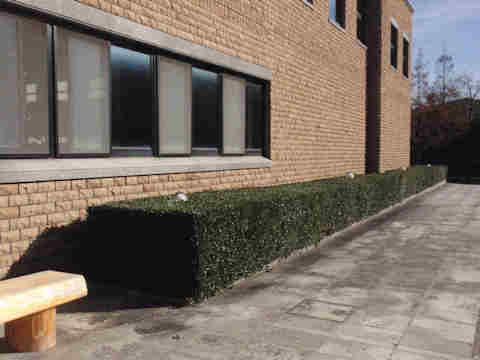 f:id:chuumeikun:20161207020727j:plain f:id:chuumeikun:20161207020727j:plain