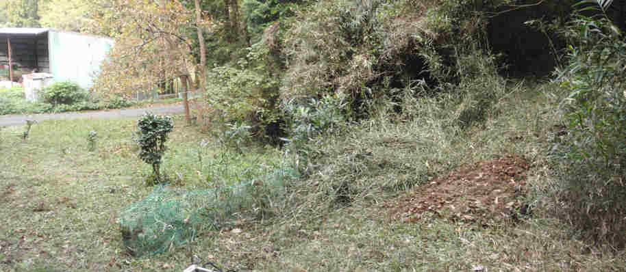 f:id:chuumeikun:20161213090948j:plain f:id:chuumeikun:20161213090948j:plain