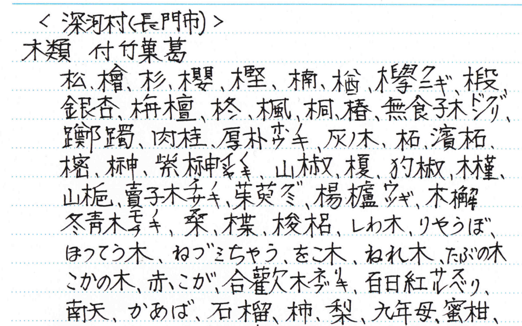 f:id:chuumeikun:20161214052652j:plain f:id:chuumeikun:20161214052652j:plain