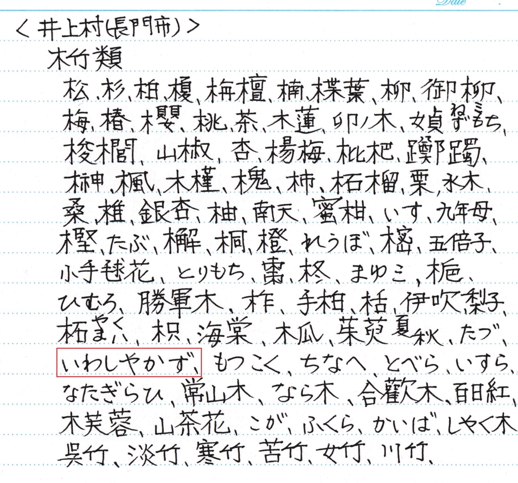 f:id:chuumeikun:20161217030014j:plain