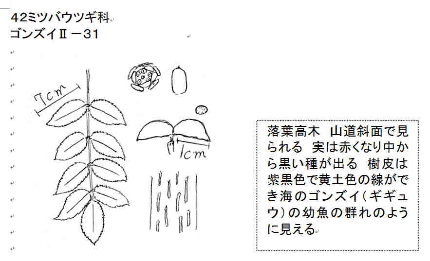 f:id:chuumeikun:20161217030157j:plain